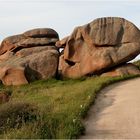 Urlaub Bretagne 2008 (025)