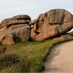 Urlaub Bretagne 2008 (025)