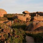 Urlaub Bretagne 2008 (035)