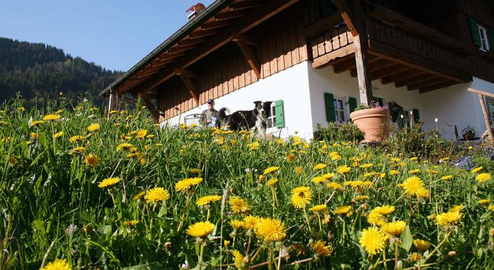 Urlaub im Allgäu Gunzesried