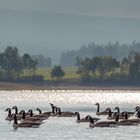 Urlaub im Fichtelgebirge