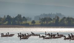 Urlaub im Fichtelgebirge