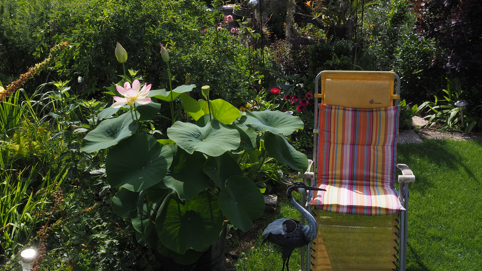 Urlaub im Garten während der Coronazeit