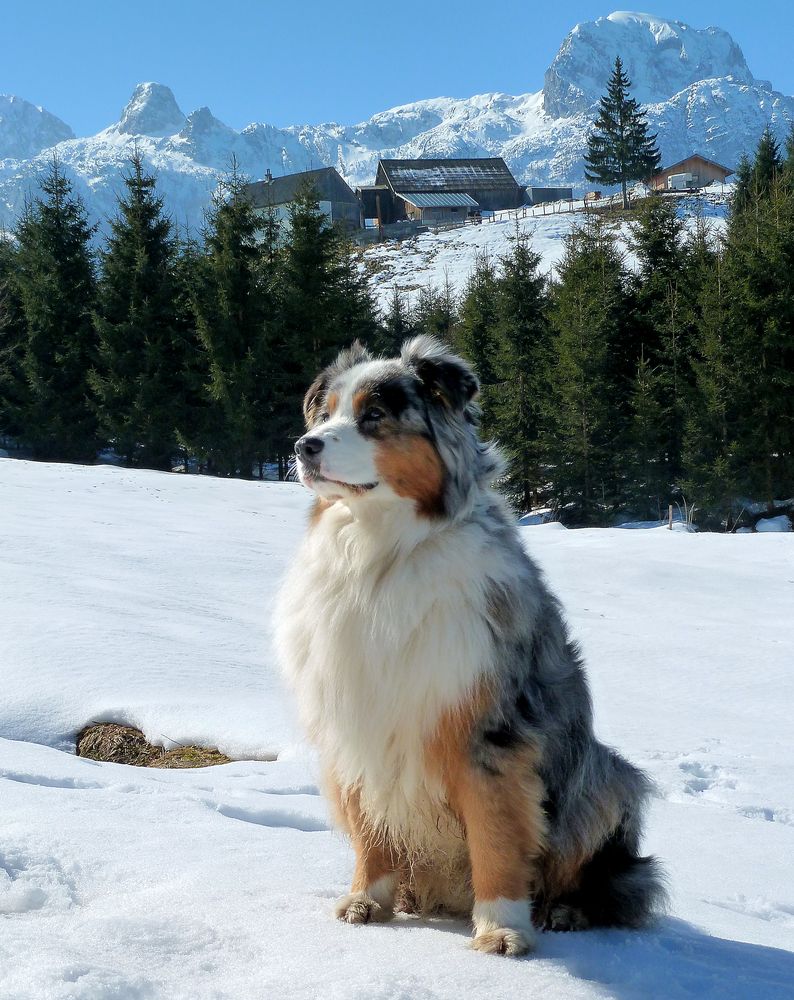 Urlaub im Lammertal