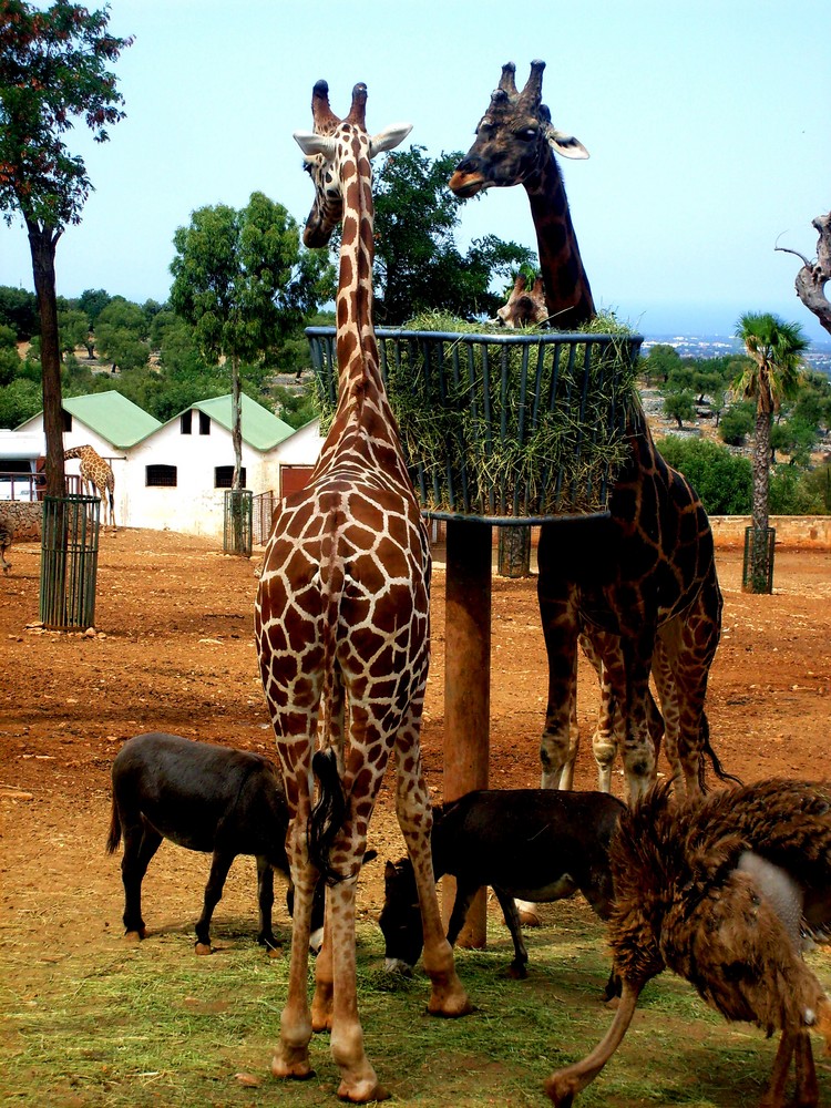 Urlaub im Tierpark :)