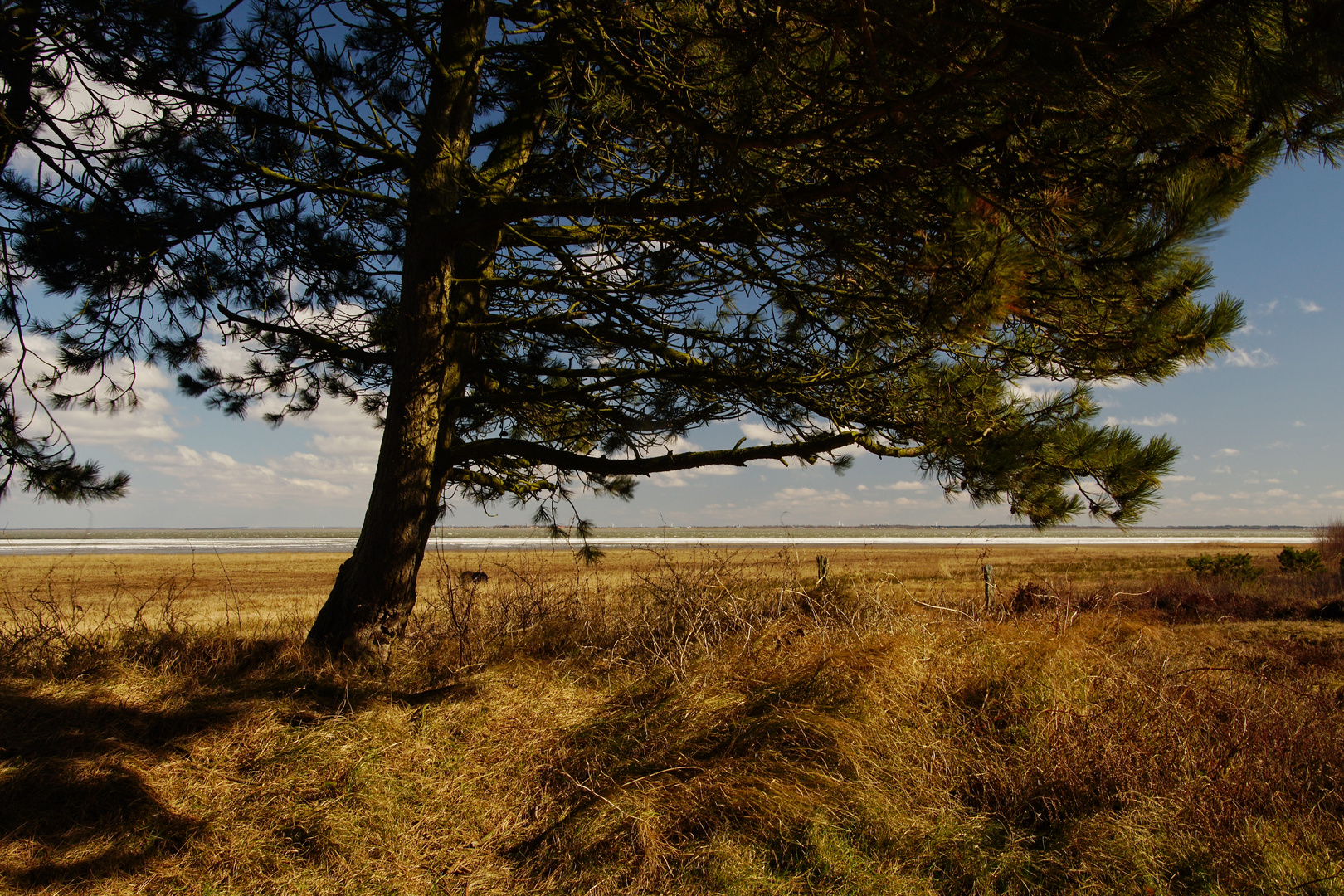 Urlaub in Dänemark 