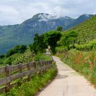 Urlaub in den Bergen