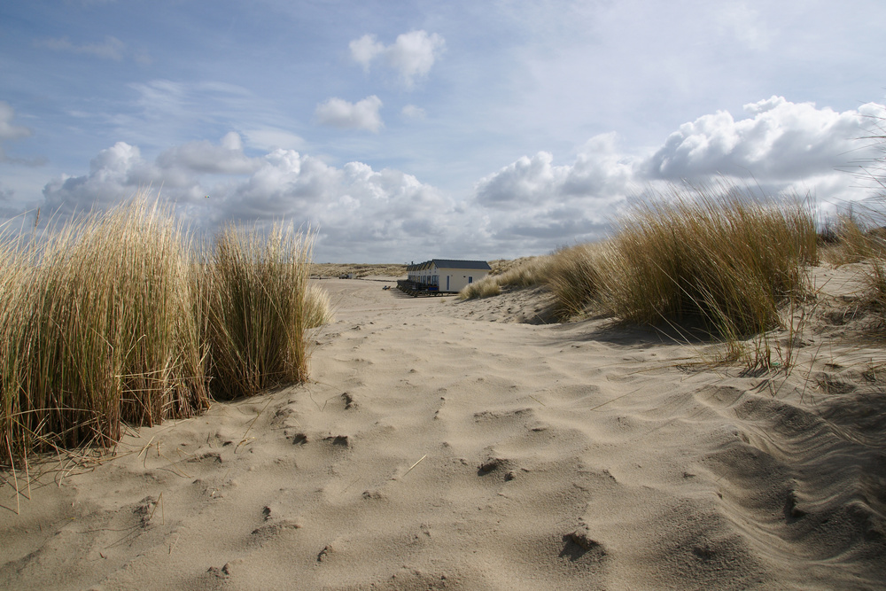 Urlaub in den Dünen