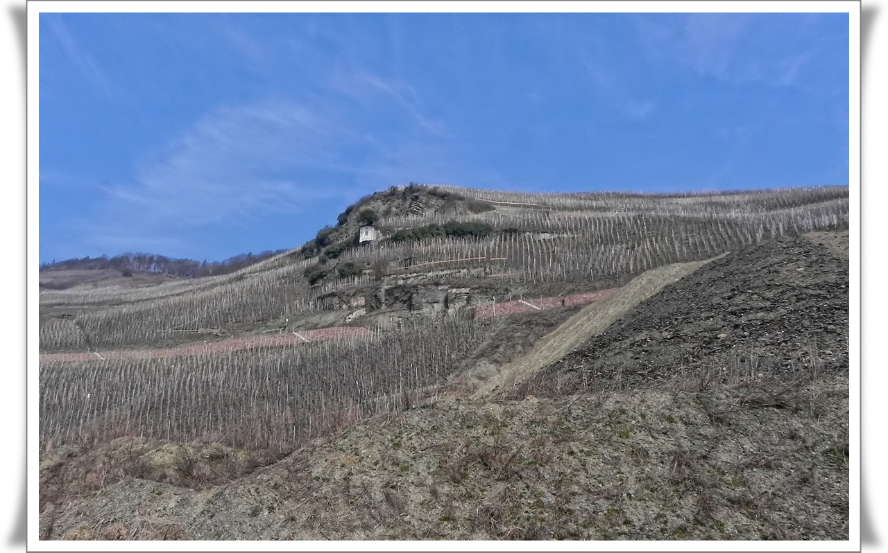 Urlaub in den Weinbergen