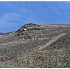 Urlaub in den Weinbergen