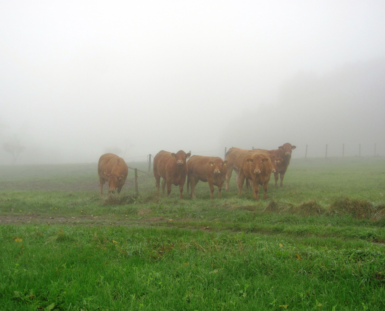 Urlaub in der Eifel im Herbst