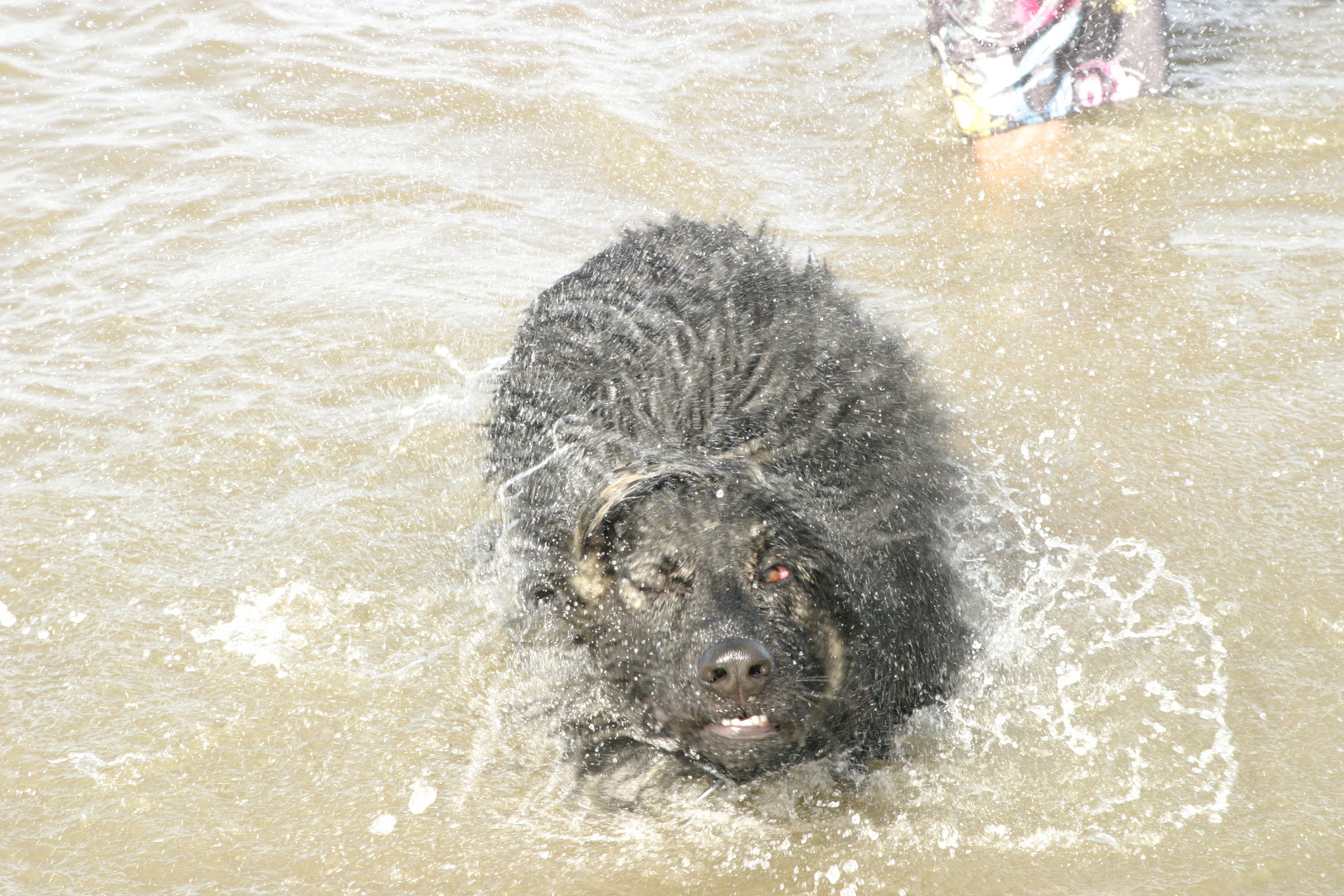 Urlaub in der Nordsee