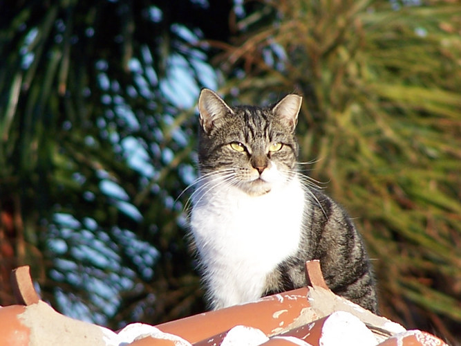 Urlaub in der Sonne