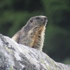 Urlaub in Graubünden Sedrun 2012