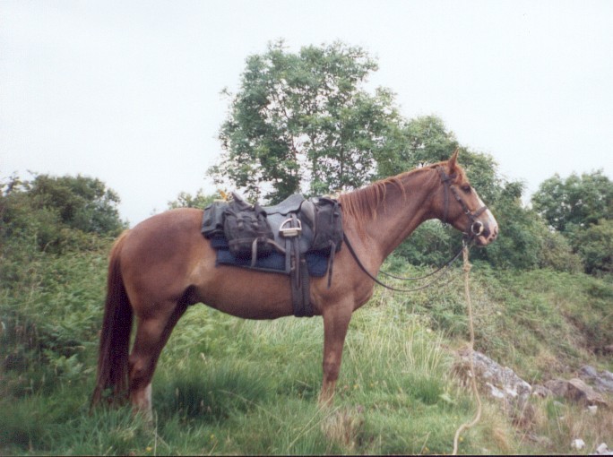 Urlaub in Irland