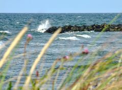 Urlaub in Kalifornien (Ostseeküste)