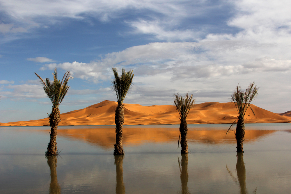 Urlaub in Marocco