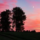 Urlaub in Schweden (Östergötland)