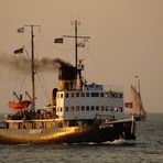 Urlaub in Warnemünde / Hanse Sail 2015 Foto 103