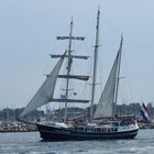 Urlaub in Warnemünde / Hanse Sail 2015 Foto 192