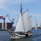 Urlaub in Warnemünde / Hanse Sail 2015 Foto 202