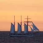 Urlaub in Warnemünde / Hanse Sail 2015 Foto 266