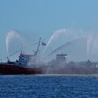 Urlaub in Warnemünde / Hanse Sail 2015 Foto 297