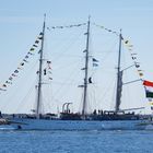 Urlaub in Warnemünde / Hanse Sail 2015 Foto 307