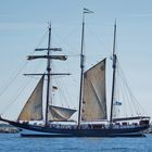 Urlaub in Warnemünde / Hanse Sail 2015 Foto 309