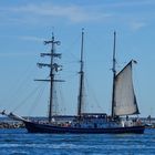 Urlaub in Warnemünde / Hanse Sail 2015 Foto 312