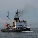 Urlaub in Warnemünde / Hanse Sail 2015 Foto 51