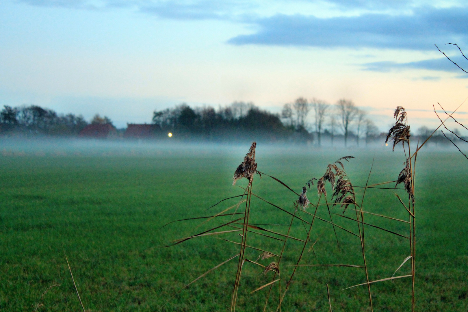 Urlaub ist vorbei - Nebel ist da