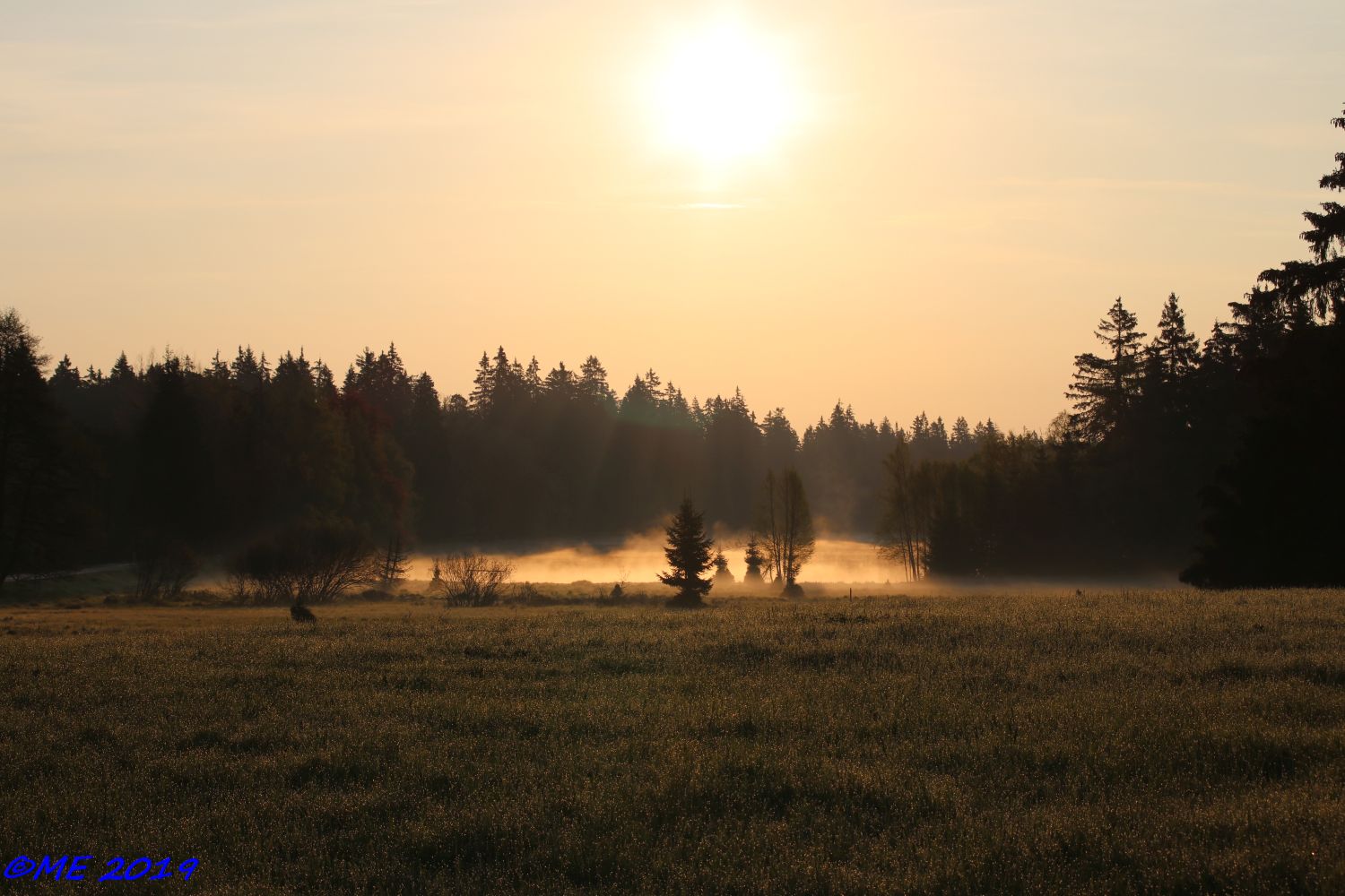 Urlaub Kladska, Mai 2019 (25)