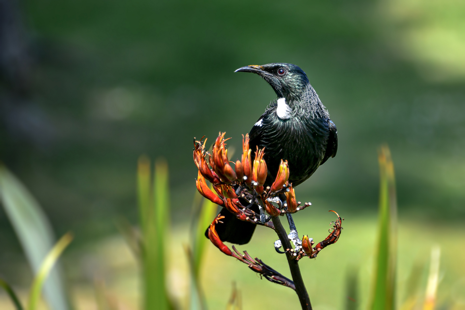 Urlaub mit dem Tui