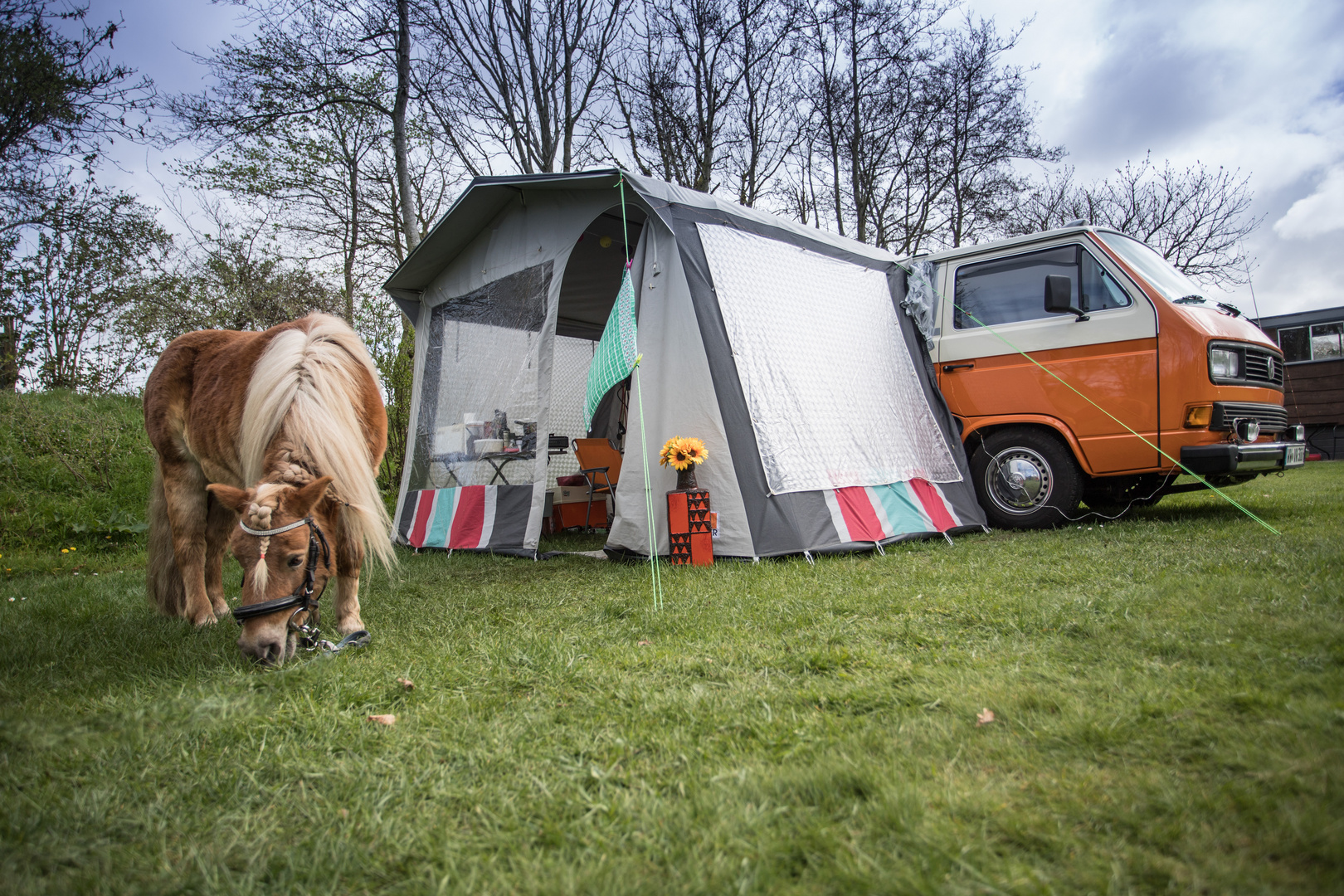 Urlaub Noordholland