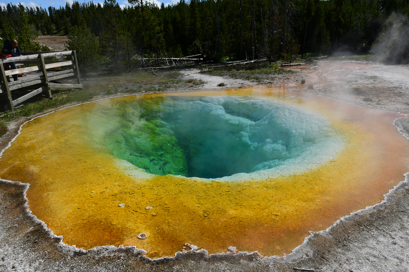 Urlaub USA Yellowstone NP_38468_23.05.-14.06.2019