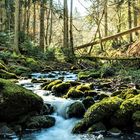 Urlaub vor der Haustür...Monbachtal bei Bad Liebenzell