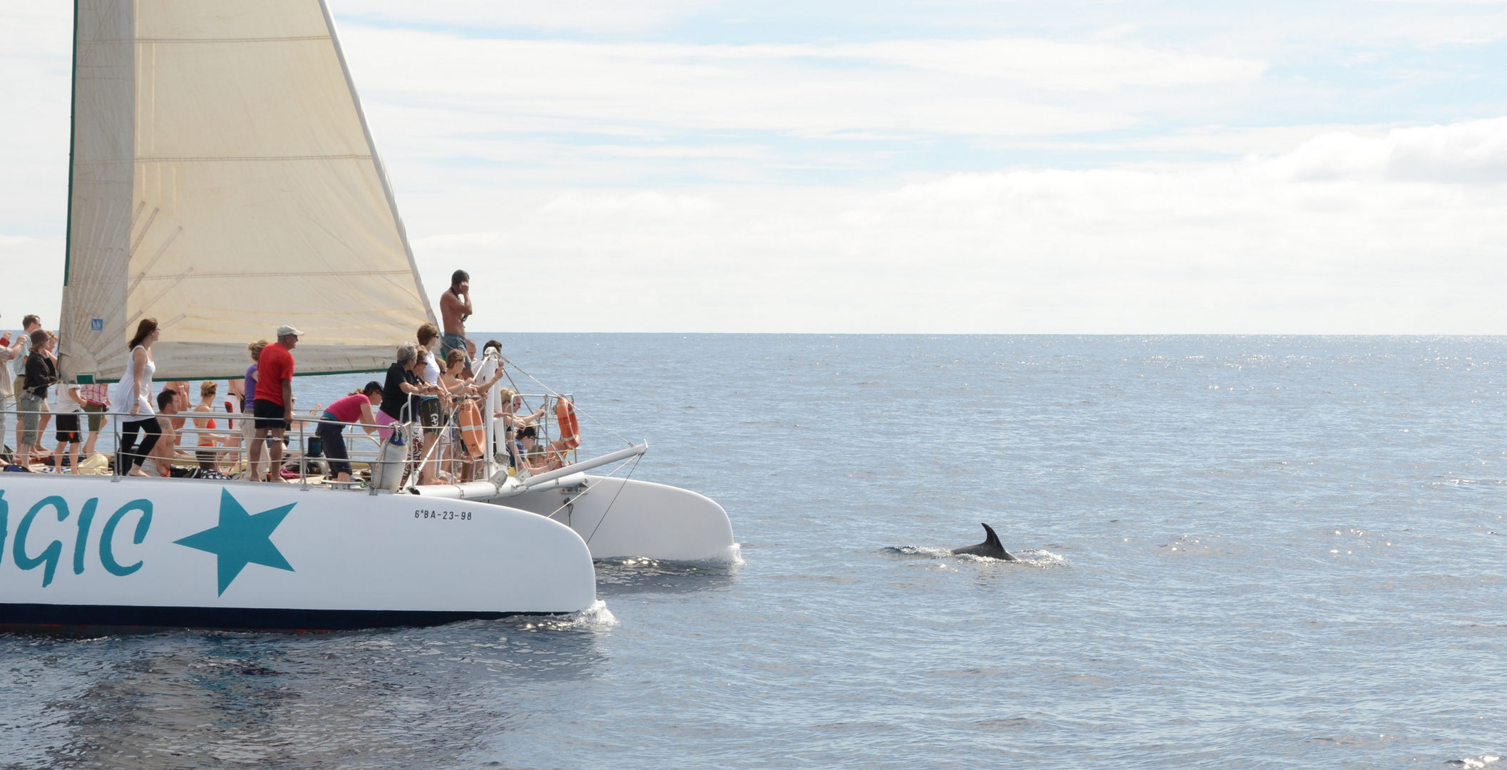 Urlauber schauen spannend den Delfinen zu