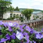 Urlaub_in_Bad_Kissingen