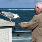 Urlaubs - Freundschaft