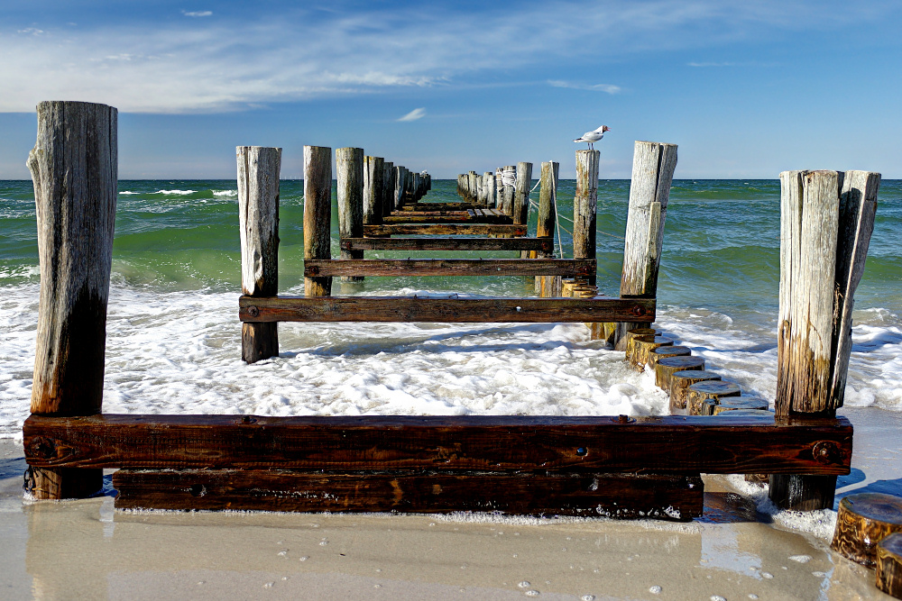 Urlaubsarchiv - Mole Zingst