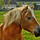 Urlaubsbekanntschaft an der Weser