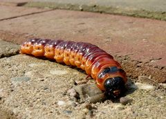 Urlaubsbesuch auf der Terrasse.