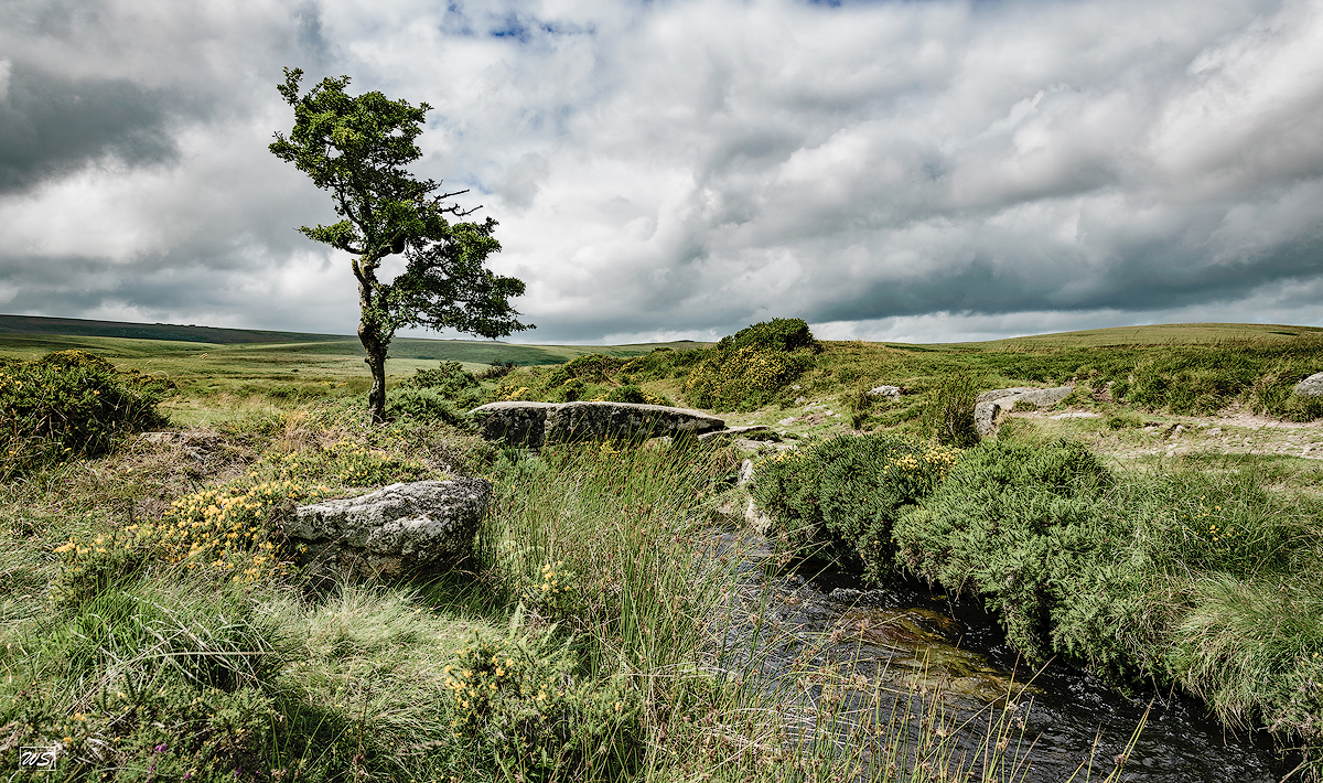 Urlaubserinnerungen 2016, England