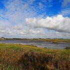 Urlaubserinnerungen  aus Texel