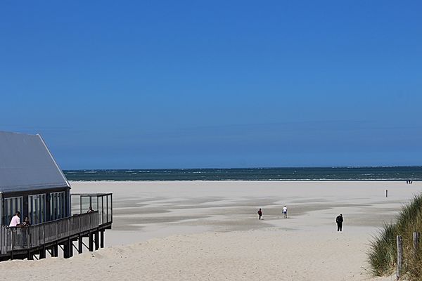 Urlaubserinnerungen - Insel Texel ( 1 )