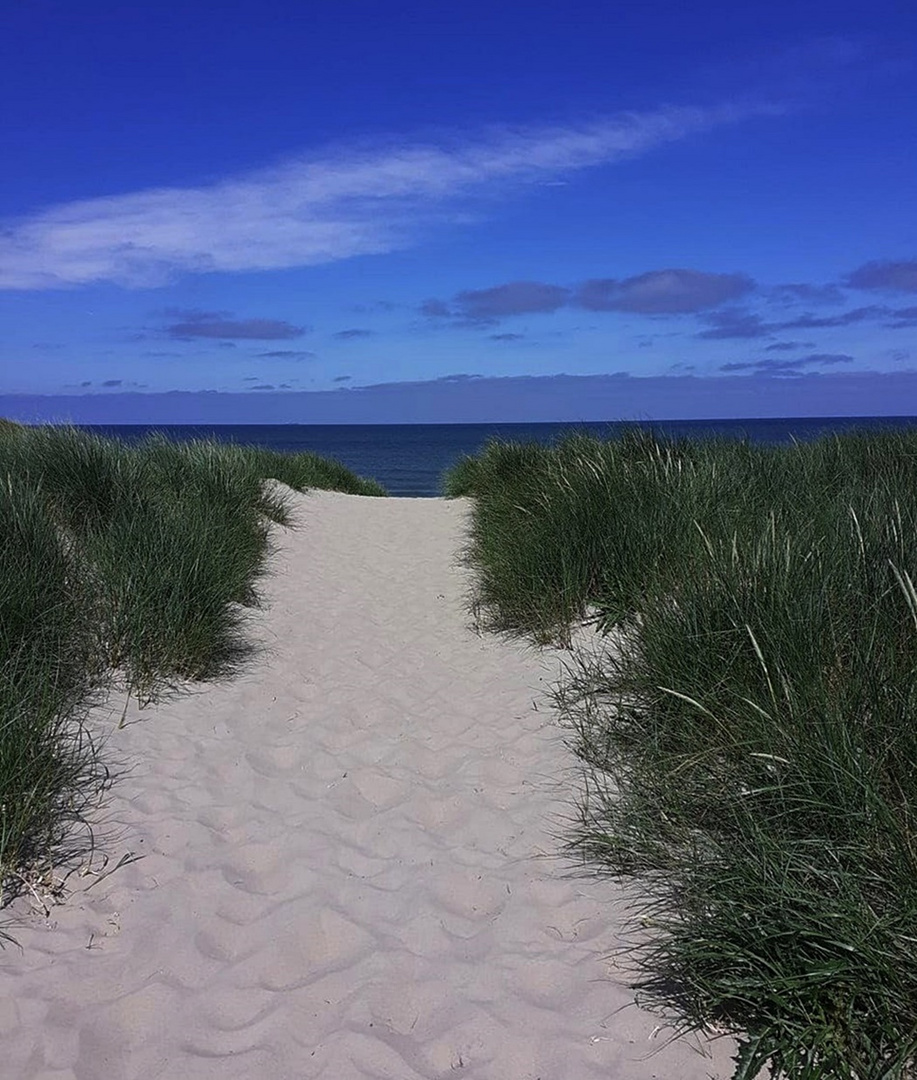 "Urlaubserinnerungen - Texel (2)"