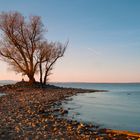 Urlaubsfeeling am Bodensee