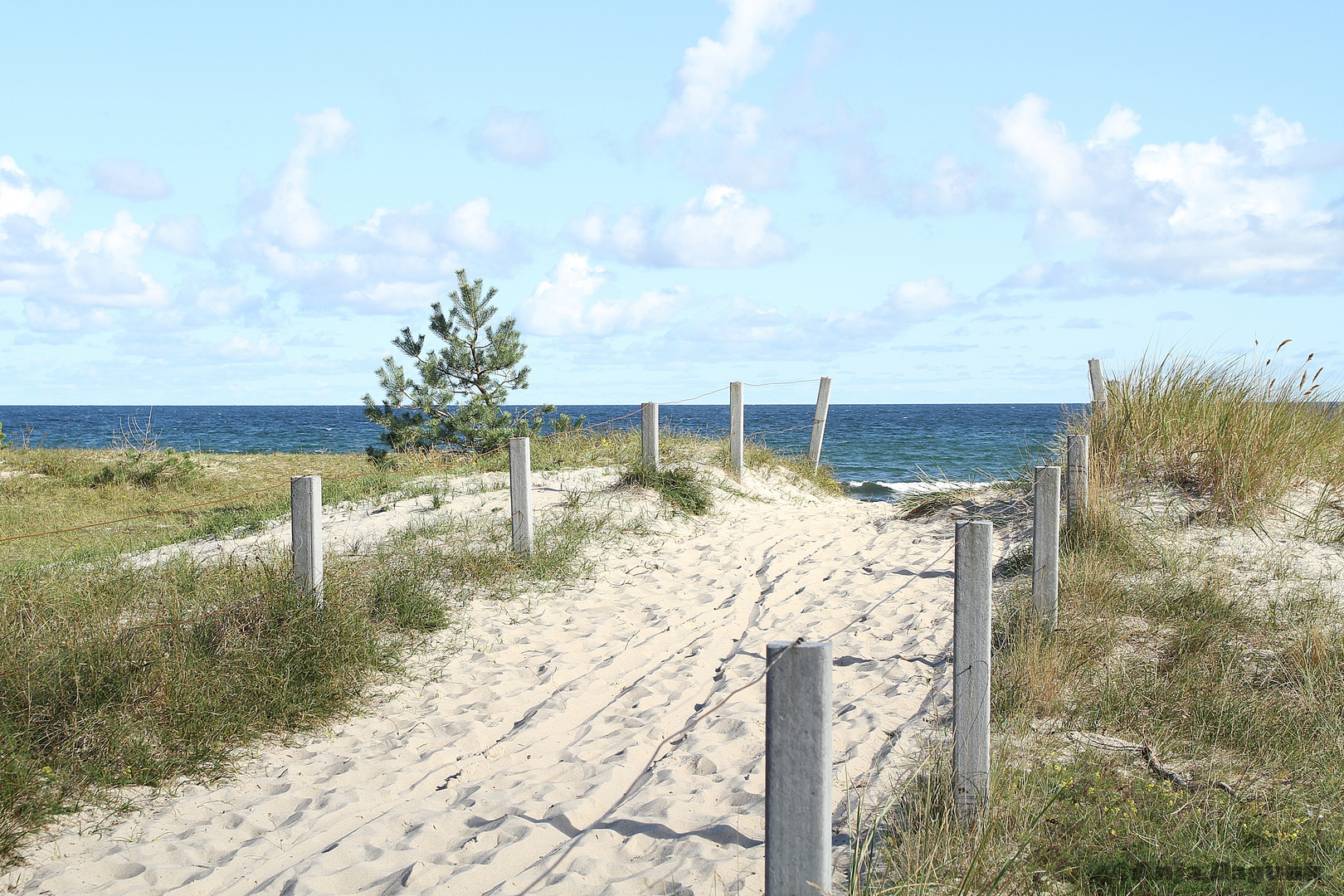 Urlaubsfeeling auf der Insel Rügen