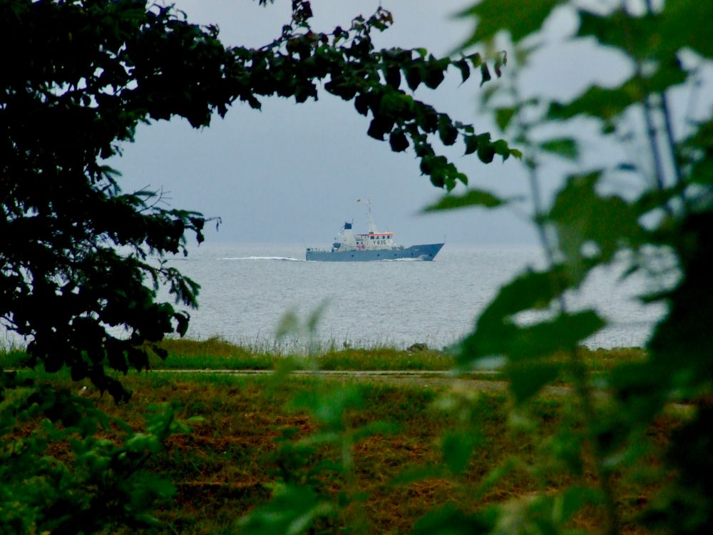 Urlaubsfensterblick für Wilfried